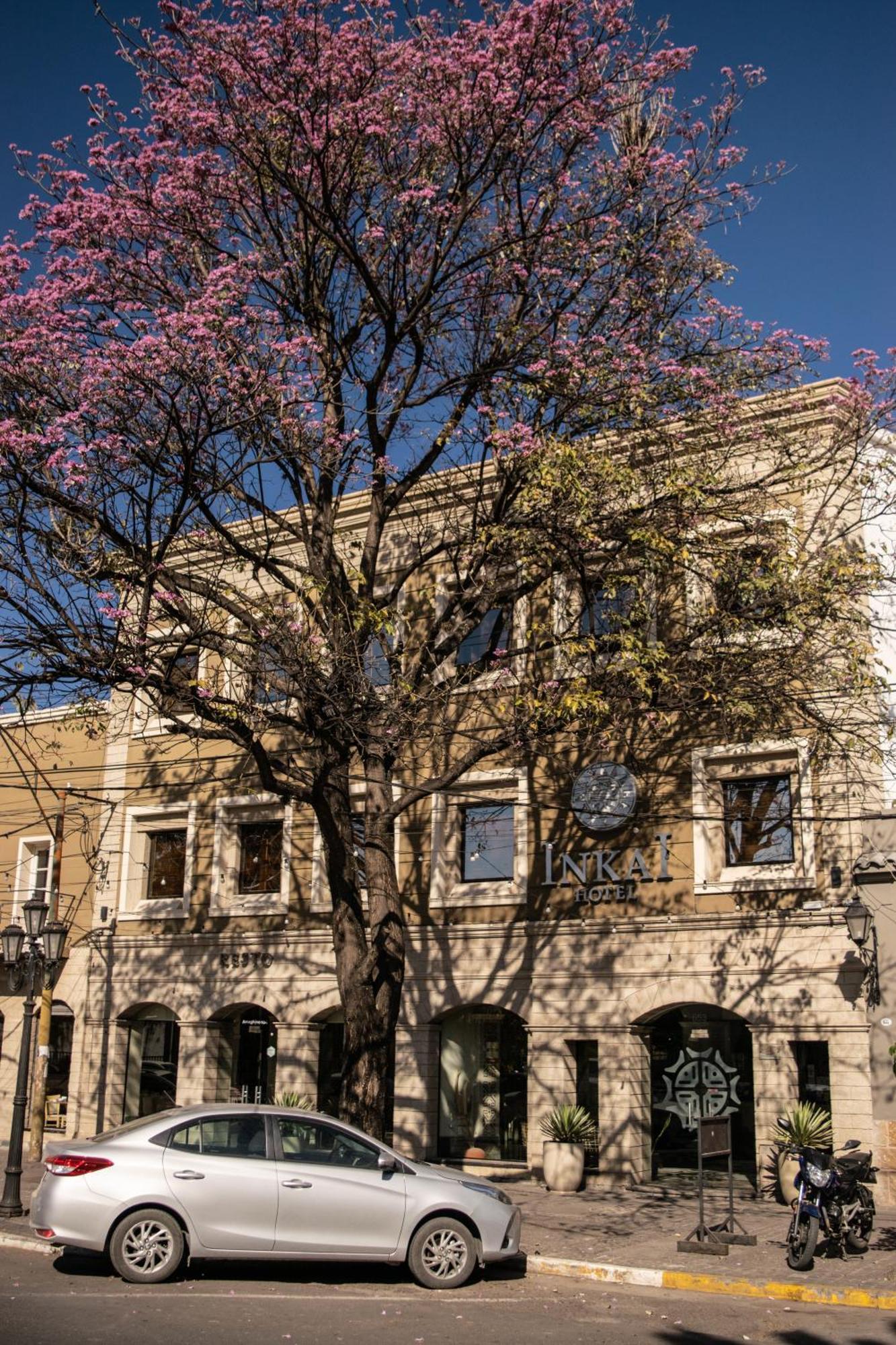 Hotel Inkai Салта Екстериор снимка